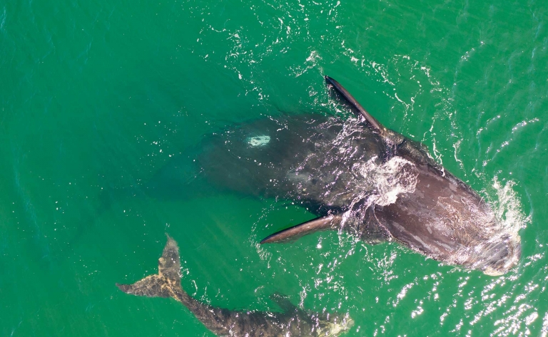 Croisière et vignobles