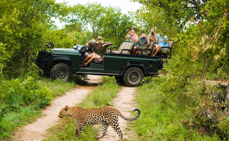 Safari en famille au cœur d’une réserve privée